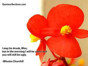 winston_churchill_quotes Quotes 2